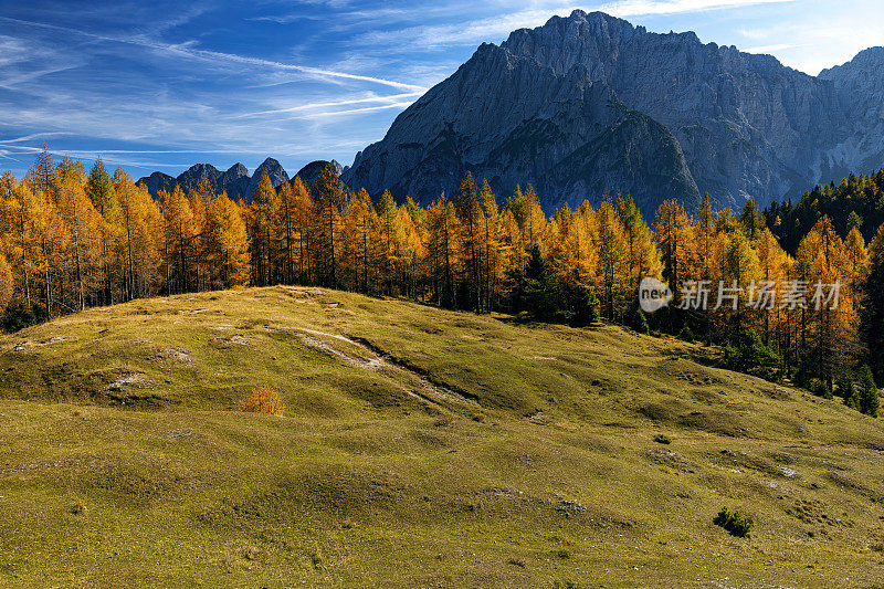 蒙塔兹山与Sella Somdogna，秋天落叶松，朱利安阿尔卑斯山，意大利，欧洲的观点